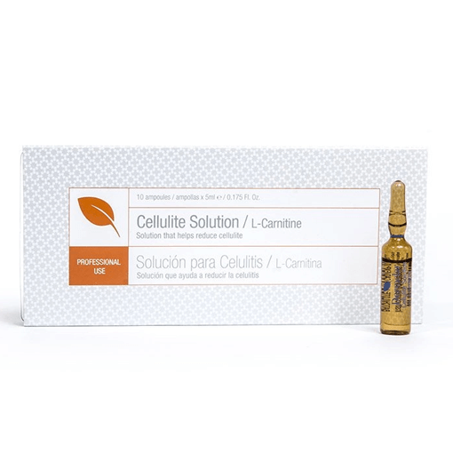 L CARNITINA AMP 5ML